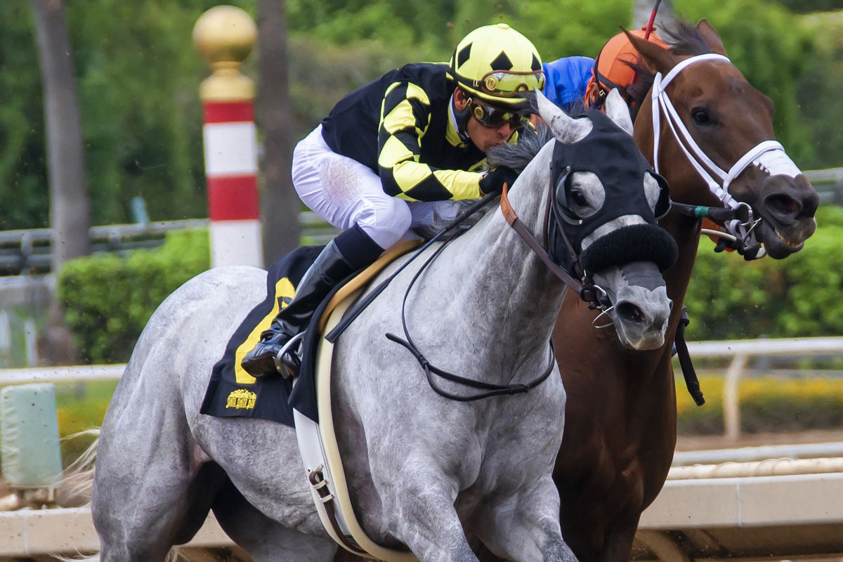 História das Corridas de Cavalos no Brasil: Dos Primeiros Jockeys aos Dias Atuais