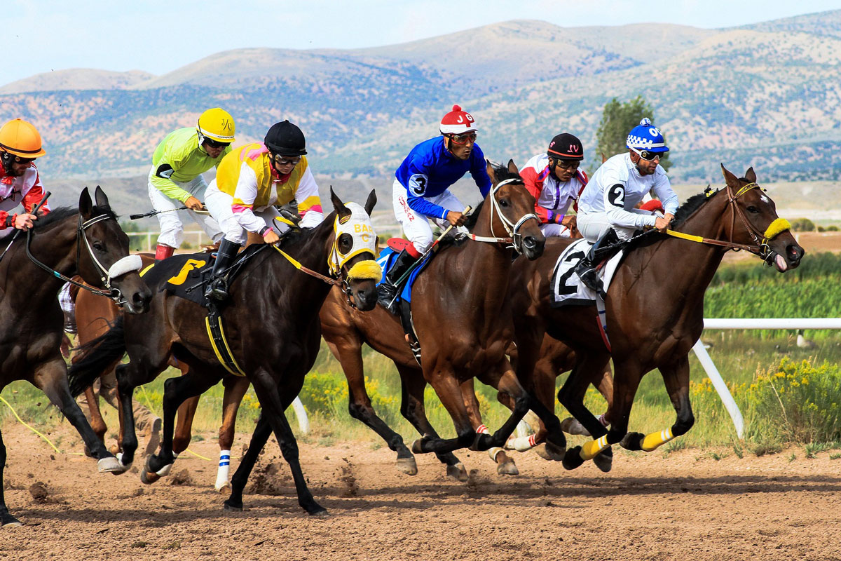 Guia Completo para Apostar em Corridas de Cavalos no Brasil: Estratégias e Dicas